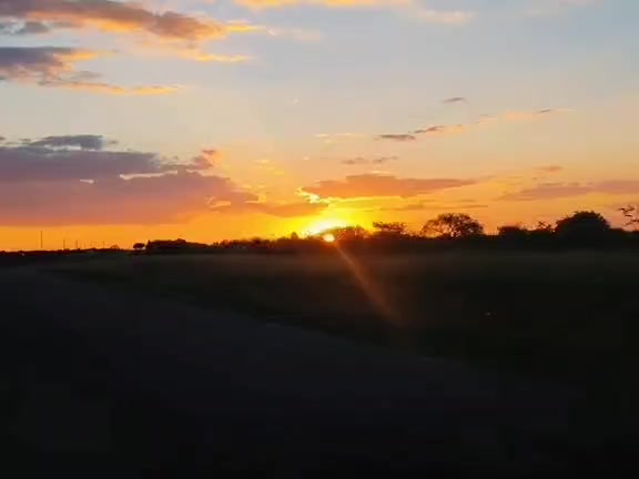 @Dichaisa223r