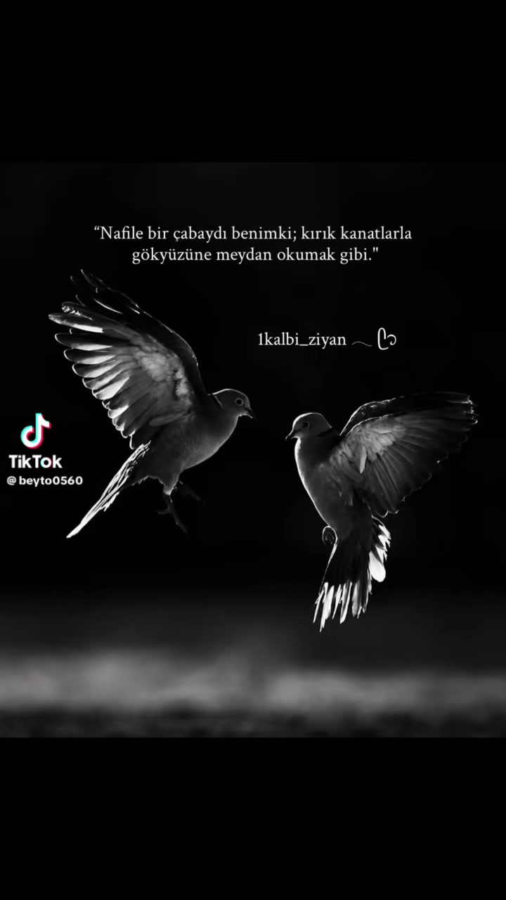 @Şahin.özgün 🎬🎤🦋🐅🐅