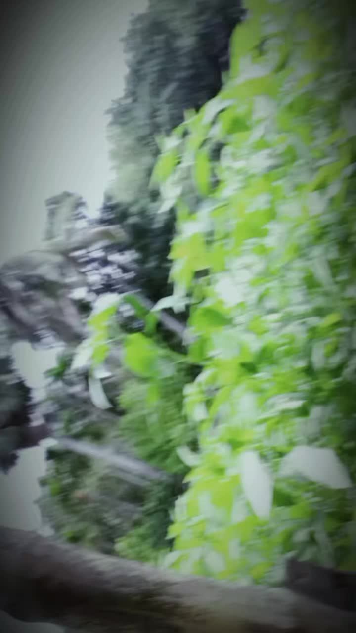 @পাগল হয়ে যাবো তুমি বুঝনা কেন