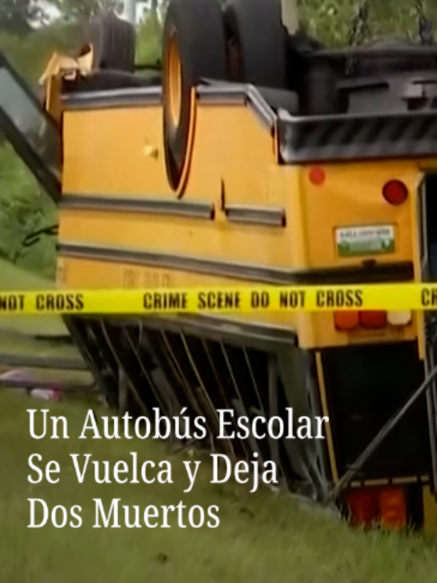 @N+ UNIVISION
