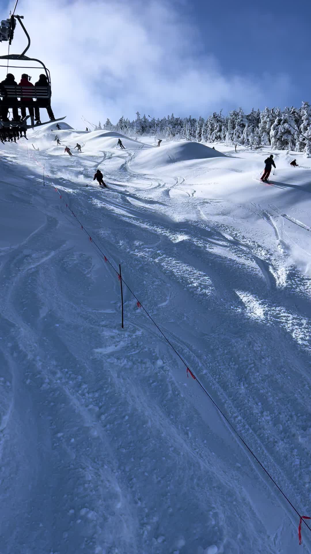 @skiingoutofnh