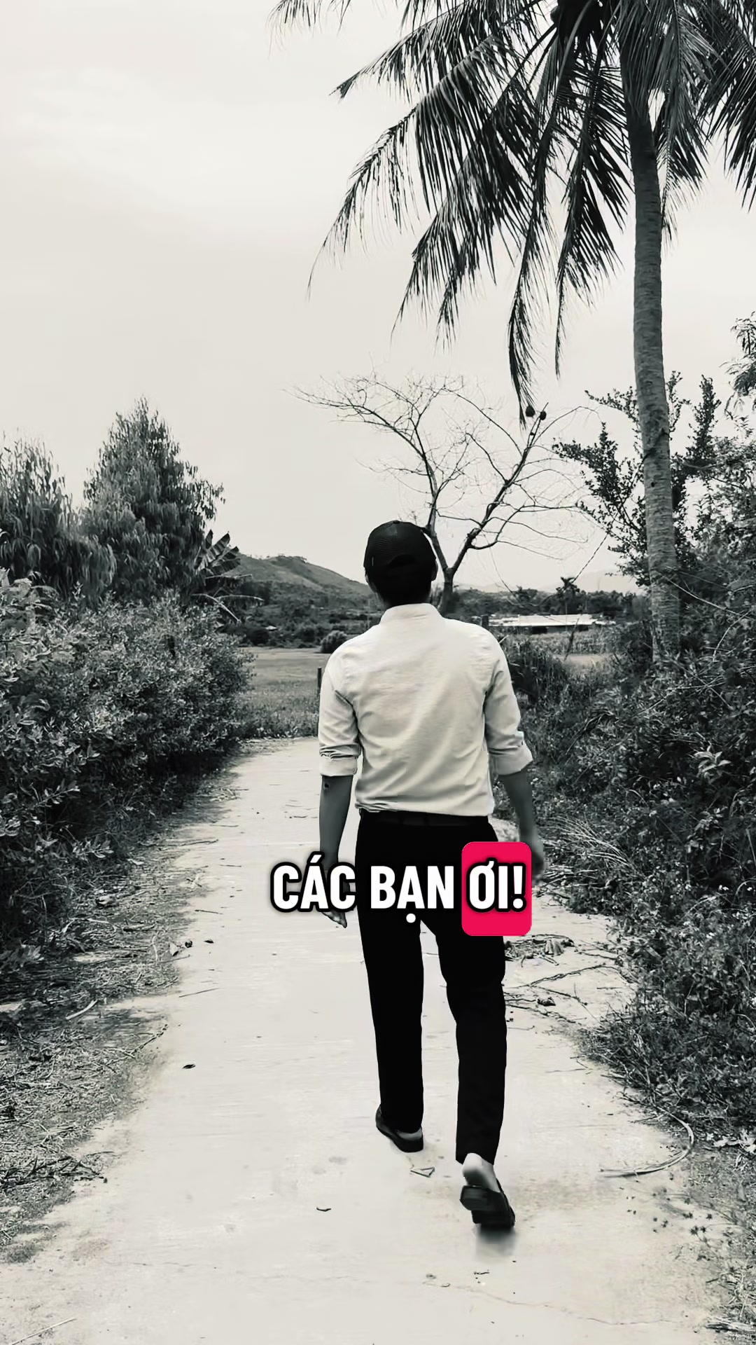 @Qu&ocirc;́c Ti&ecirc;́n ✅