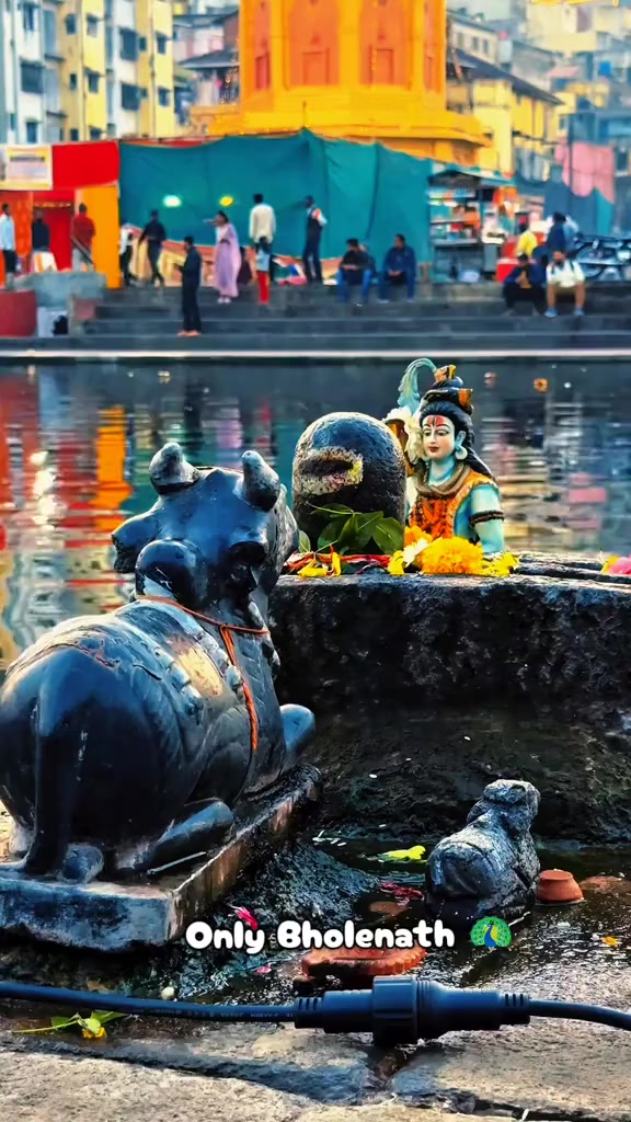 @rajesh.nepal