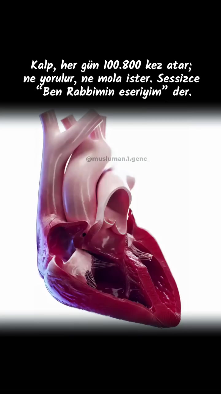 @•.¸♡ 𝐇uzur 𝐌eleği ♡¸.•