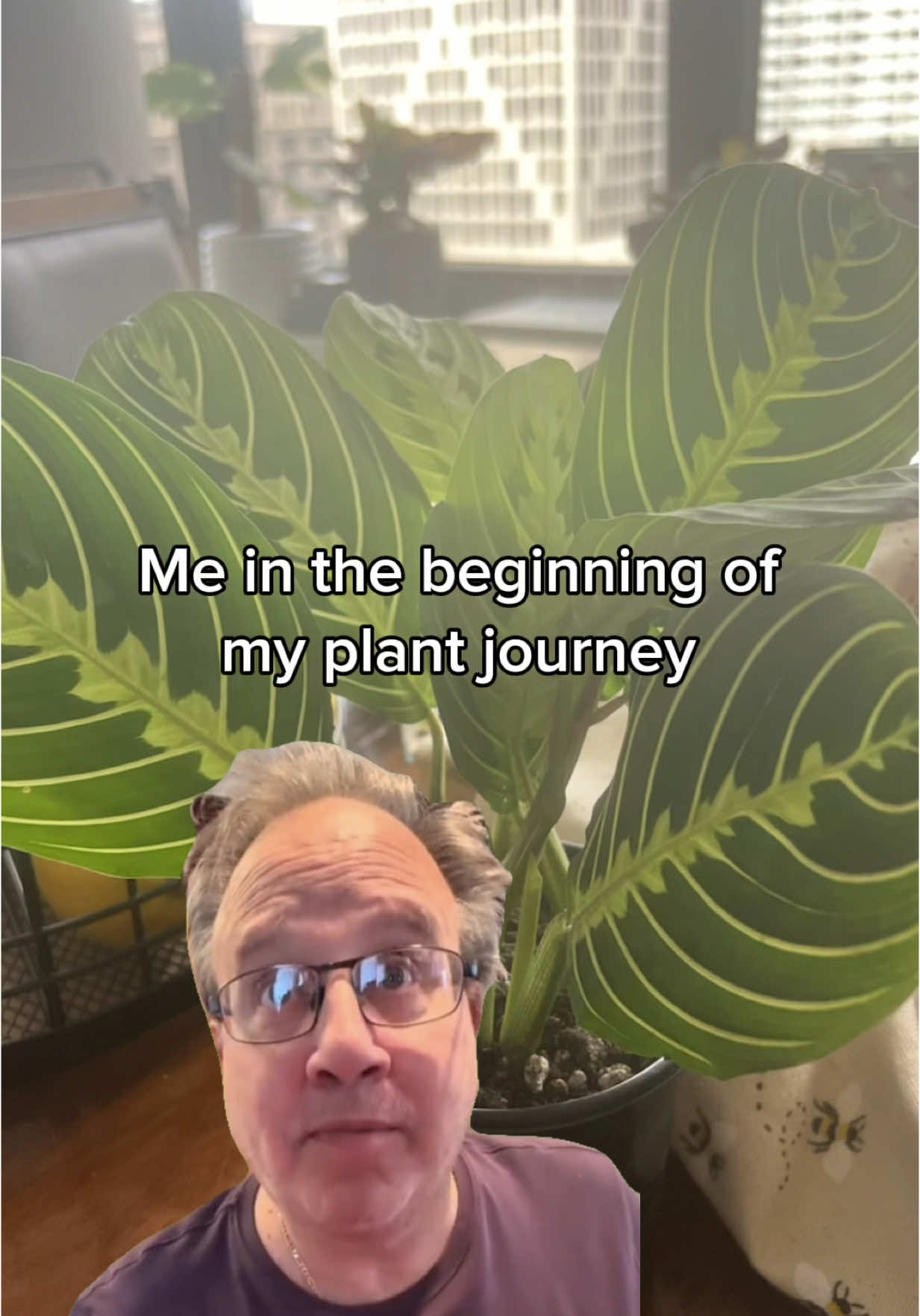@Plant Girly 🪴