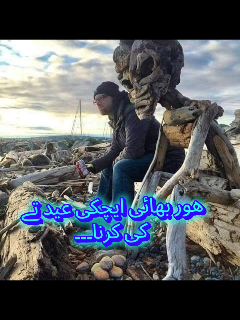 @🌼Faria Sheikh🌼