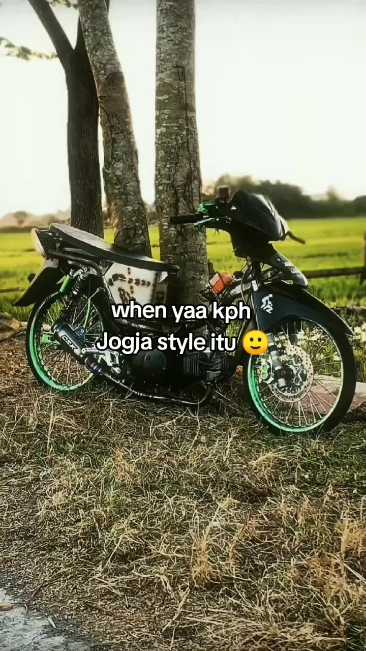 @xyntidd..