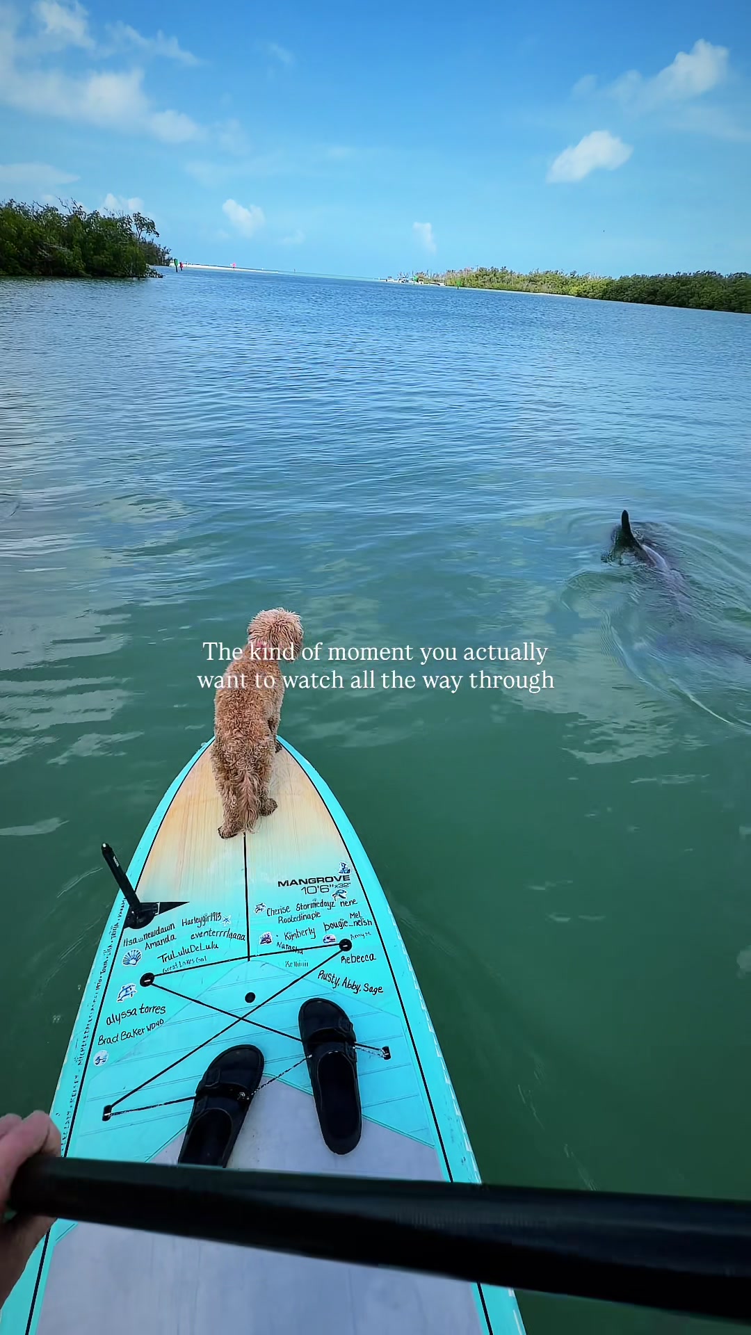 @theoceangirl