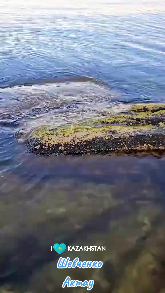 @Галочка