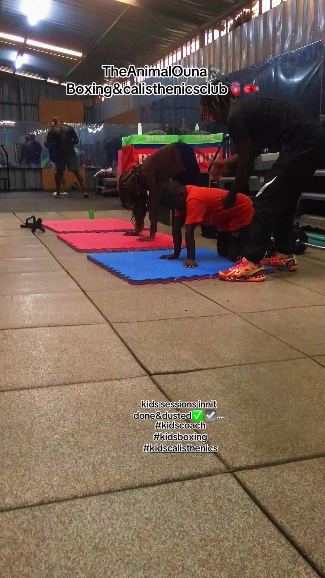 @TheAnimalOuna🦍…