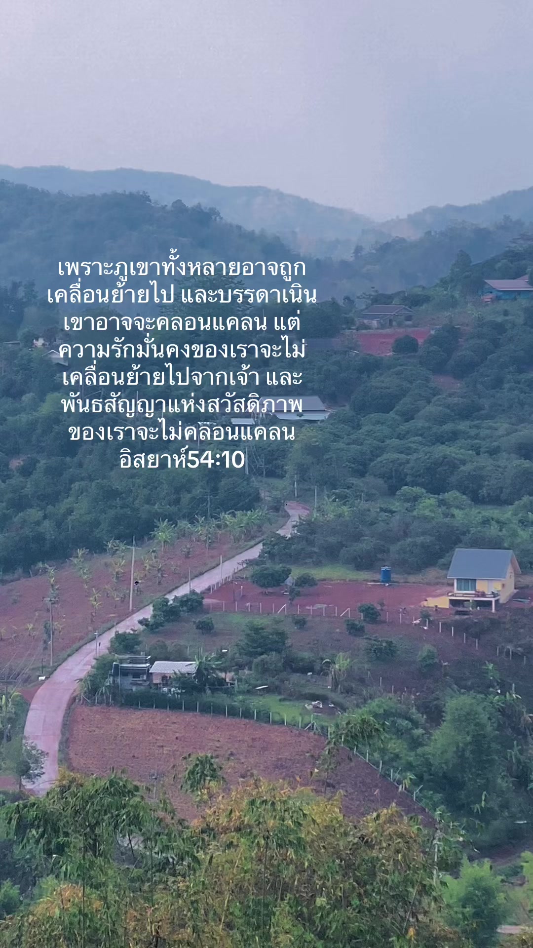 @พื้นที่สีเขียว🍃