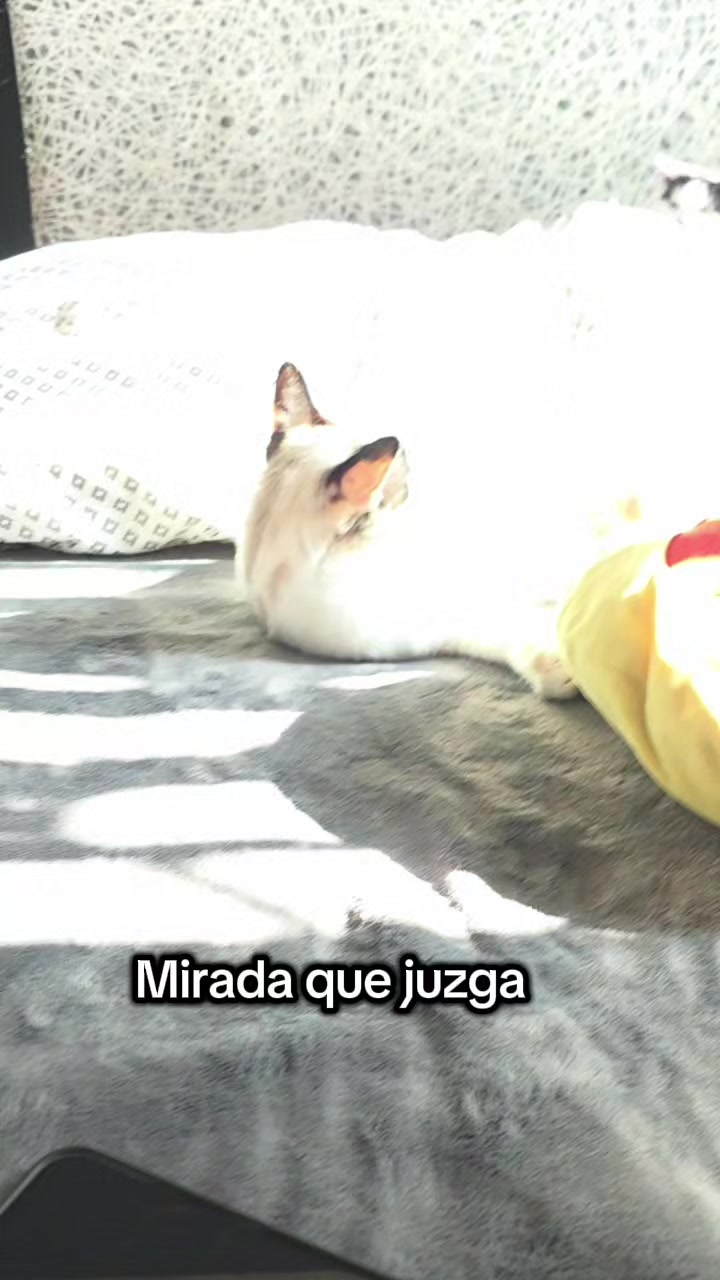 @Michis
