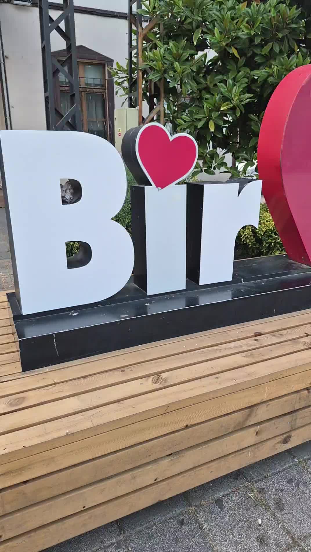 @Ahmet &ouml;zcan