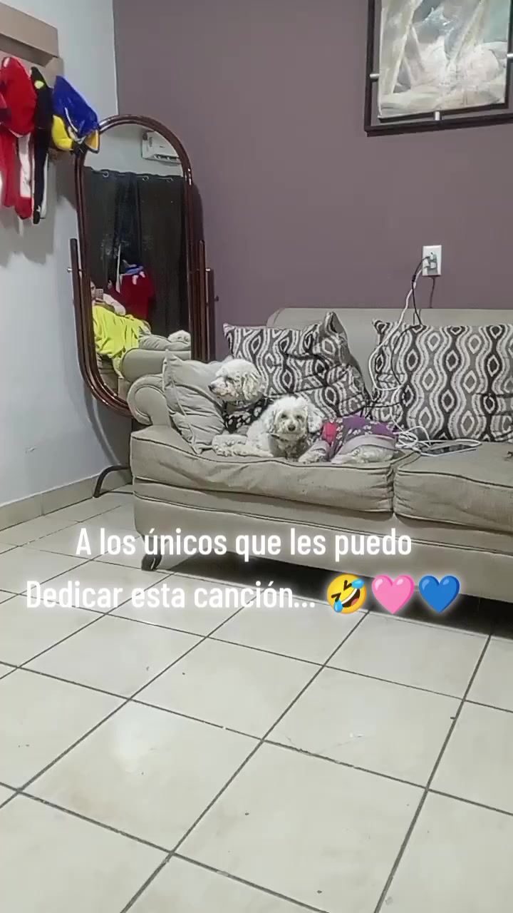 @Sofia Pi&ntilde;a🩷