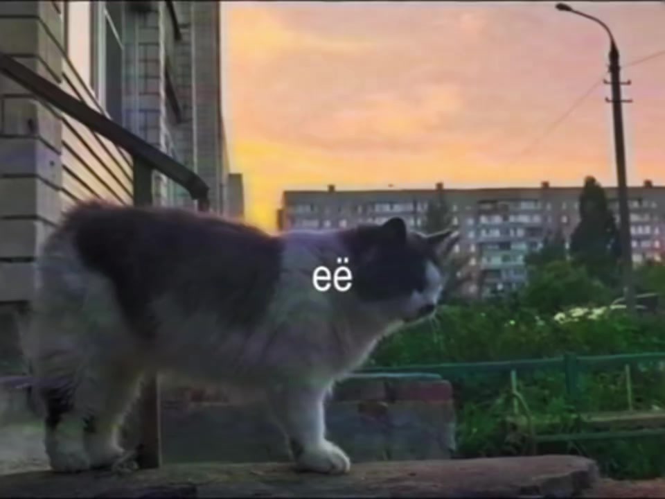 @^//^