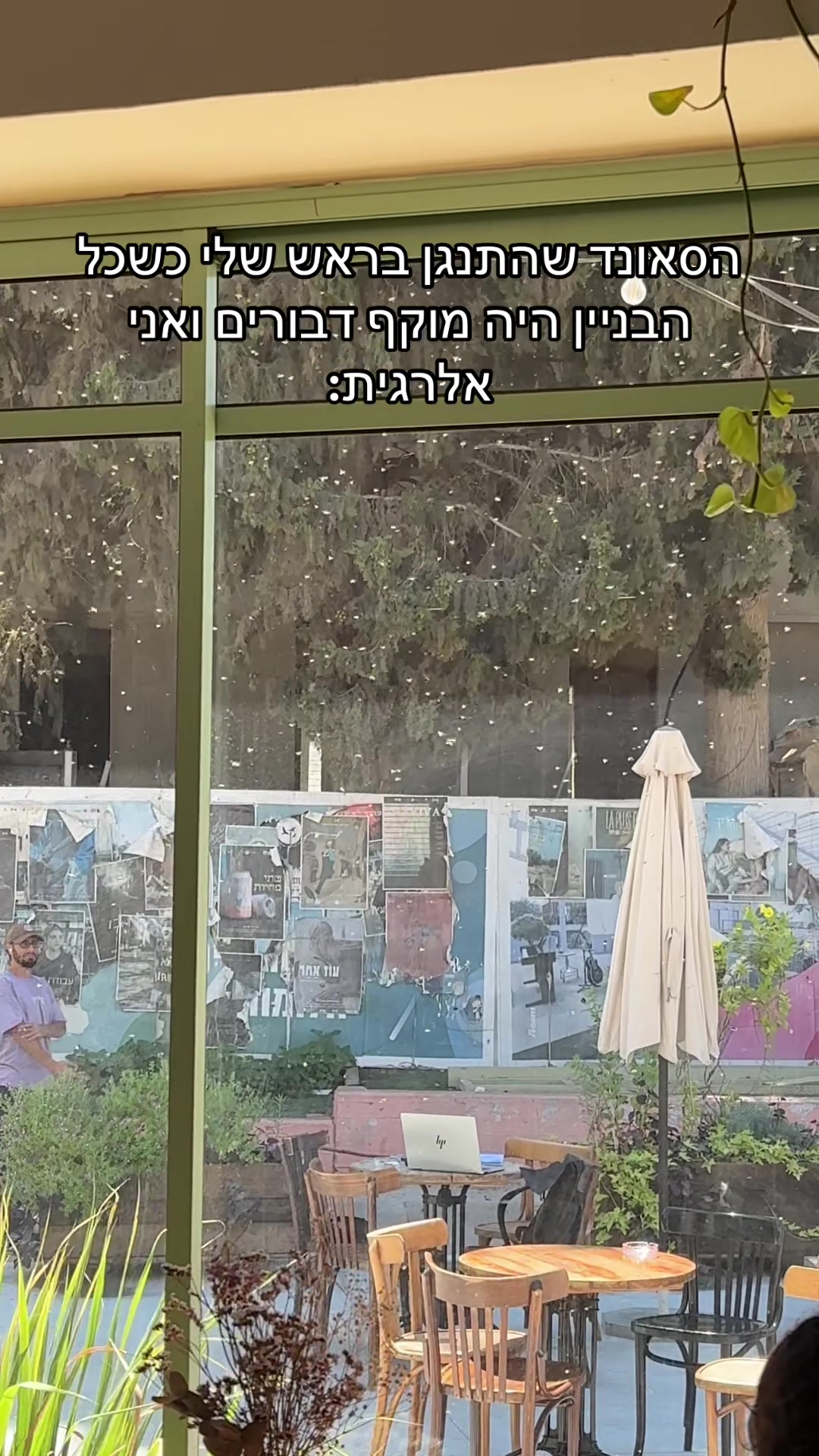 @לאלו זון