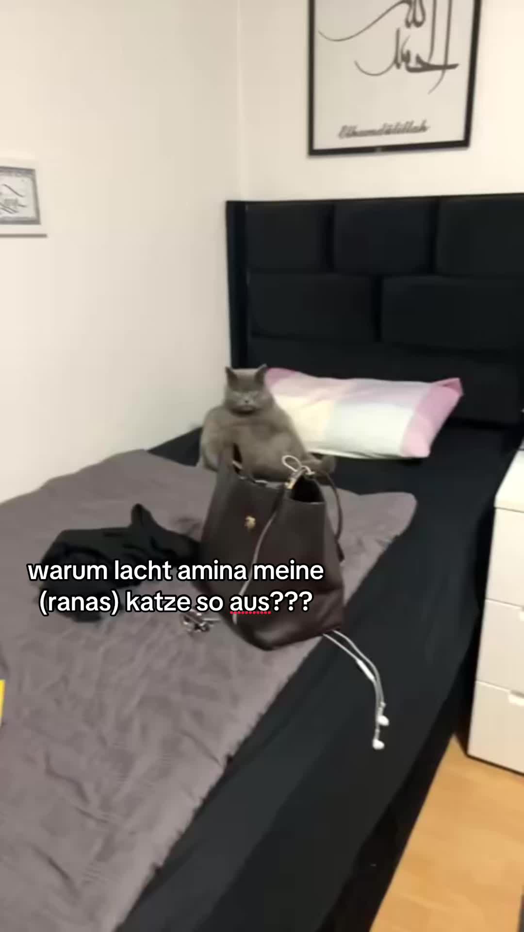 @lebenlifehayat