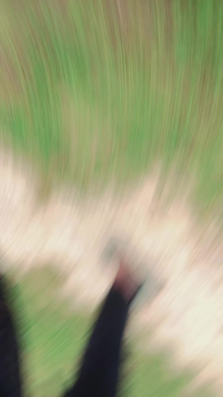 @ð£VIRALﮩٚÙﮩﮩٚÙð¡Çüêªððêªï®©Ùšð£