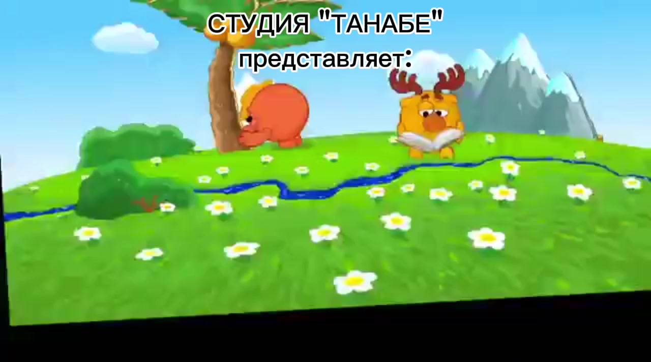 @Видосер