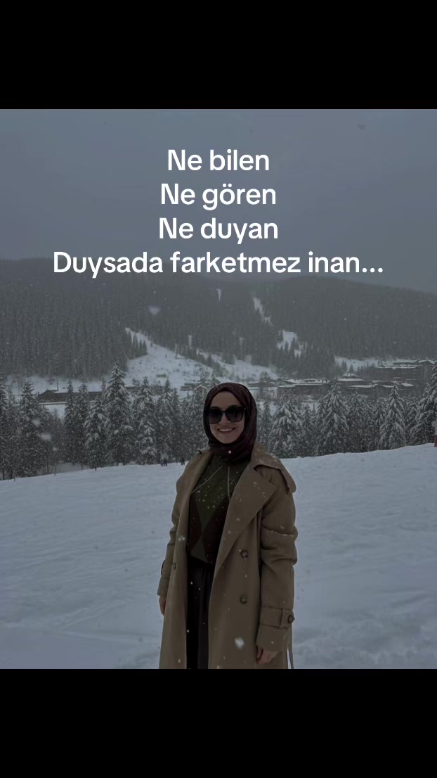 @zmz19990