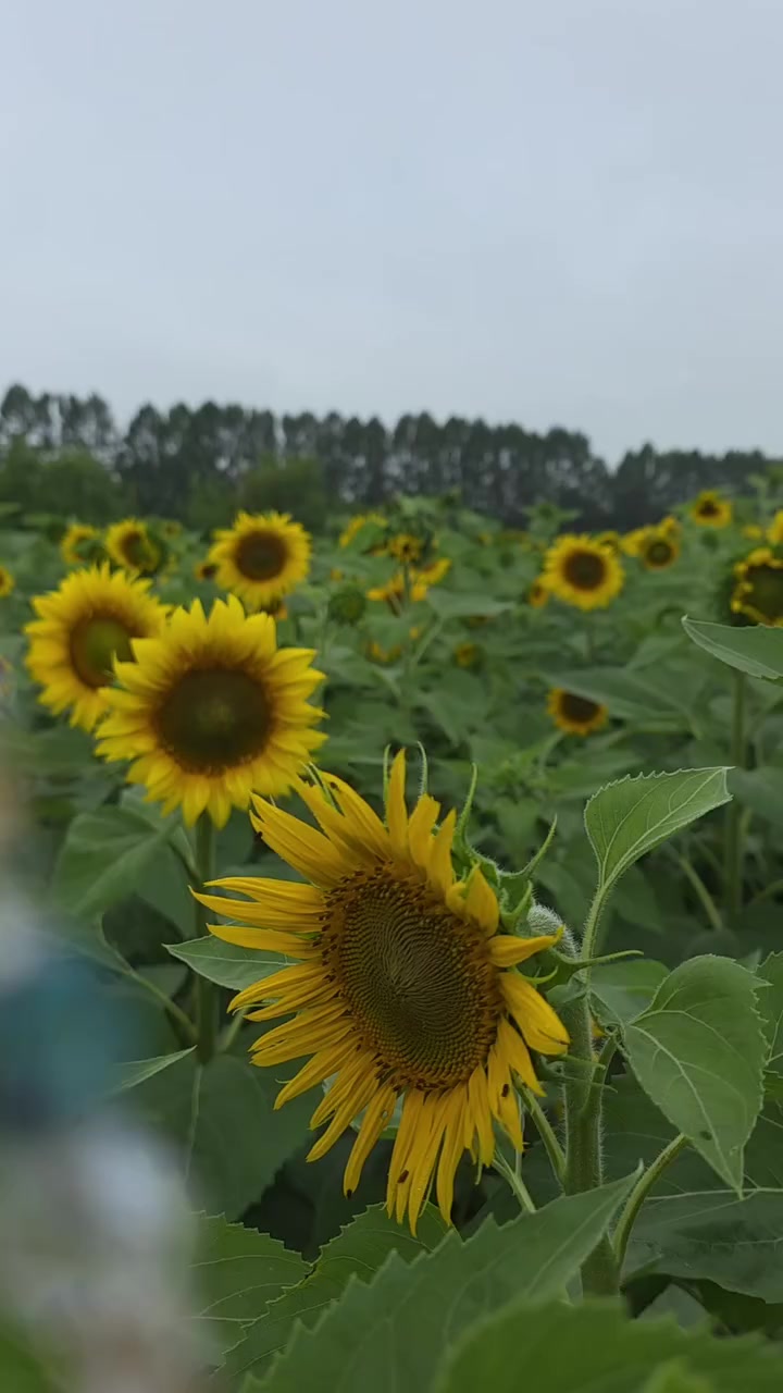 @โบ๏ธ ๐พ๐๐๐๐๐๐ โ๏ธ