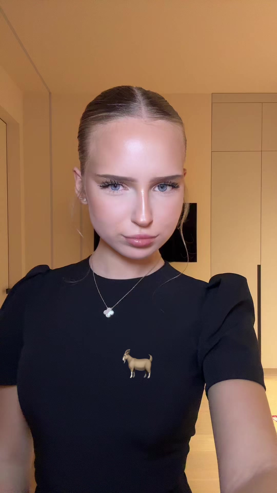@palisnwk