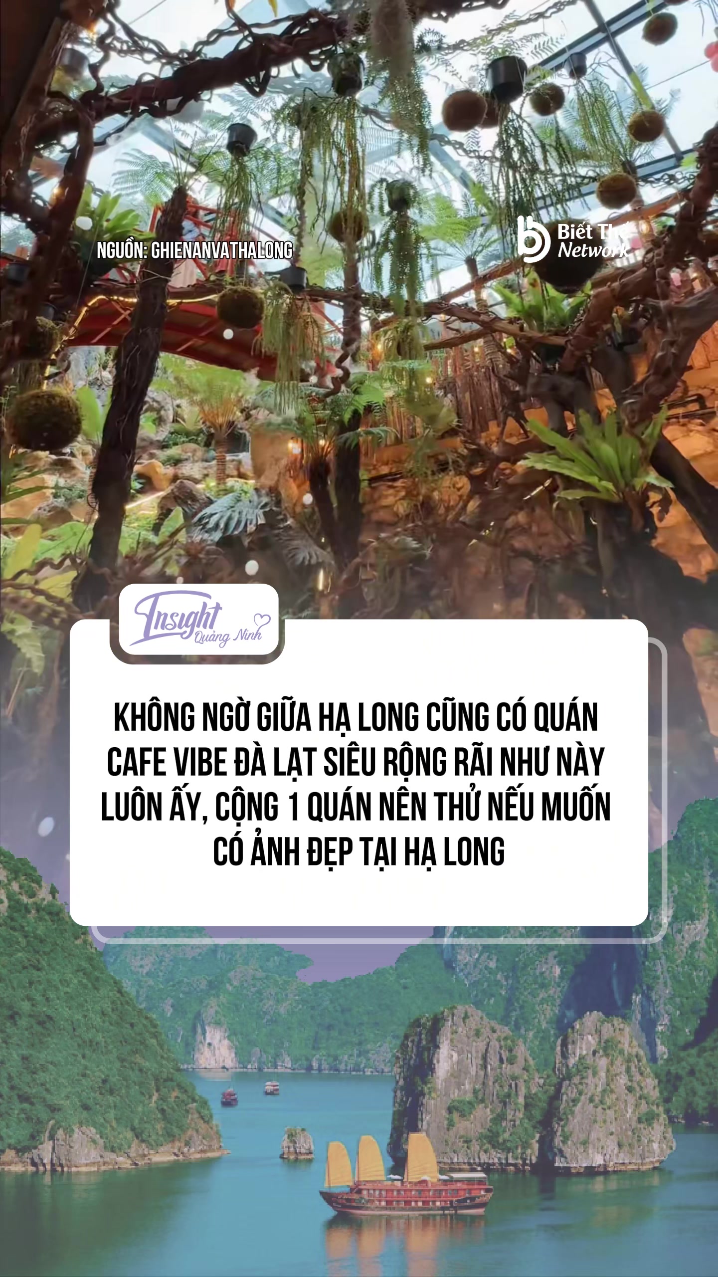 @Insight Quảng Ninh