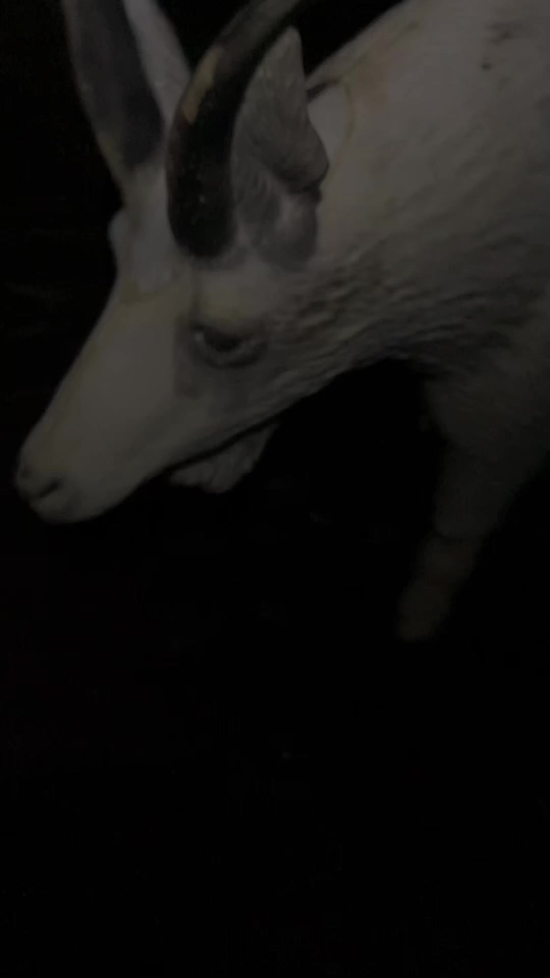 @Nick