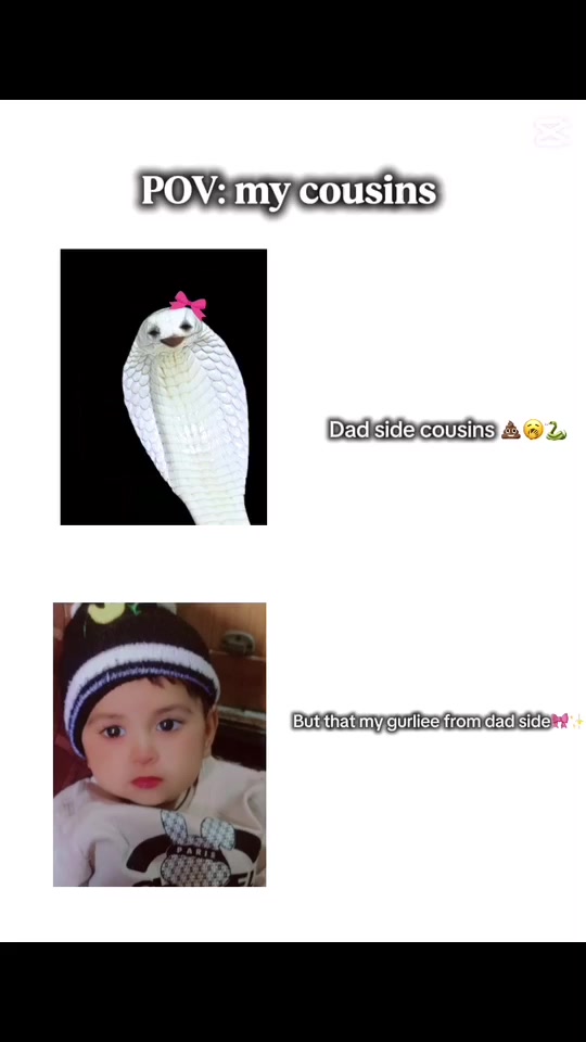 @Seneorita🎀🐾