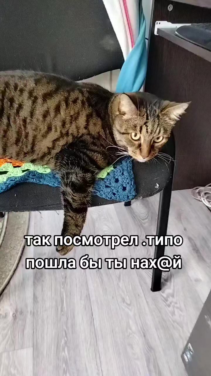 @Ирэн