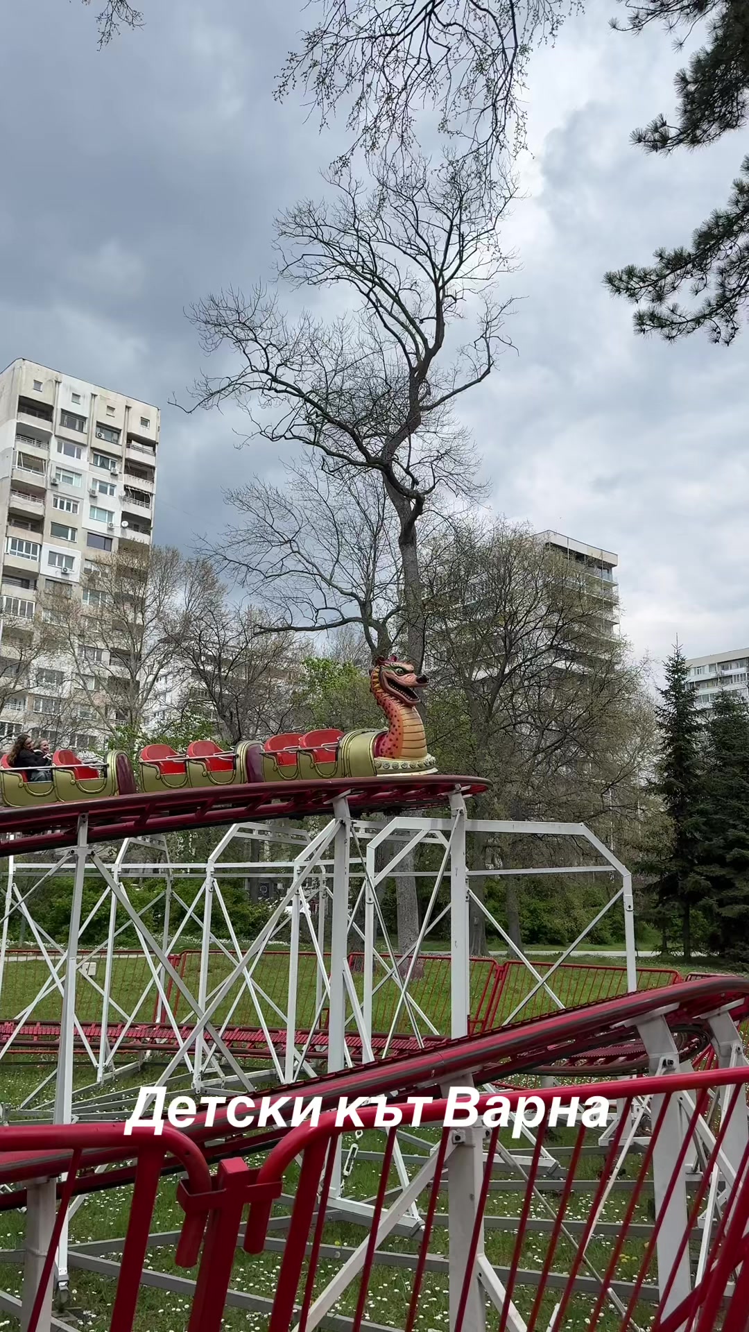 @diana.zlenko