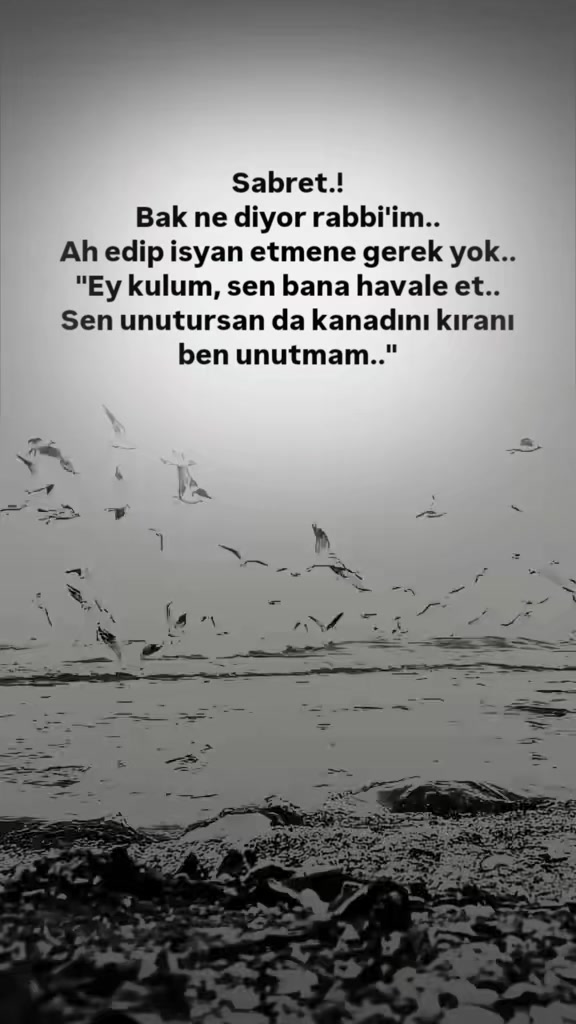 @𝐒𝐞𝐬𝐬𝐢𝐳꯭ ꯭⅟𝐘𝐚𝐳𝐚𝐫