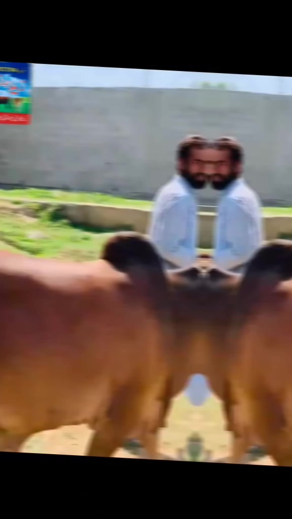 @🦁میاں،سیعد، باجوڑے🦁