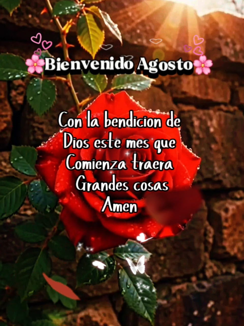 @♥️ 𝐹𝑒𝓁𝓎 ♥️