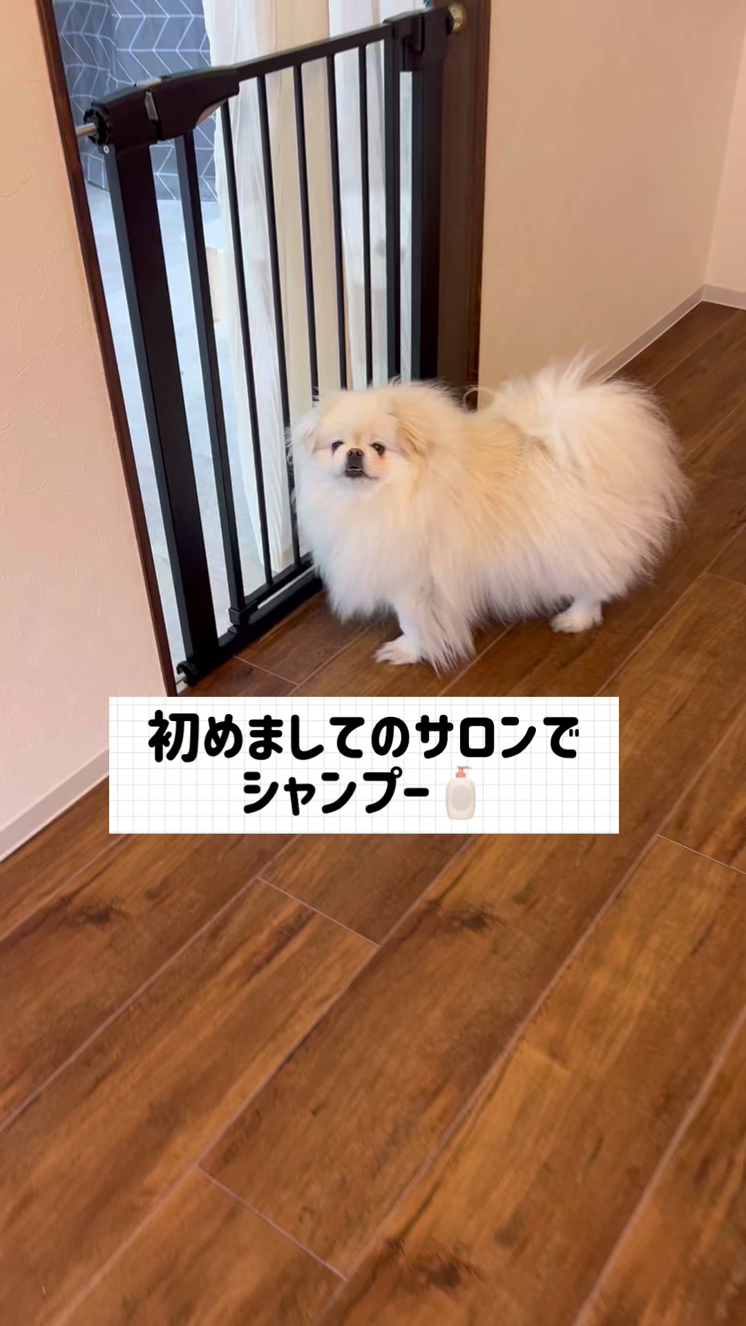 @なんこつ