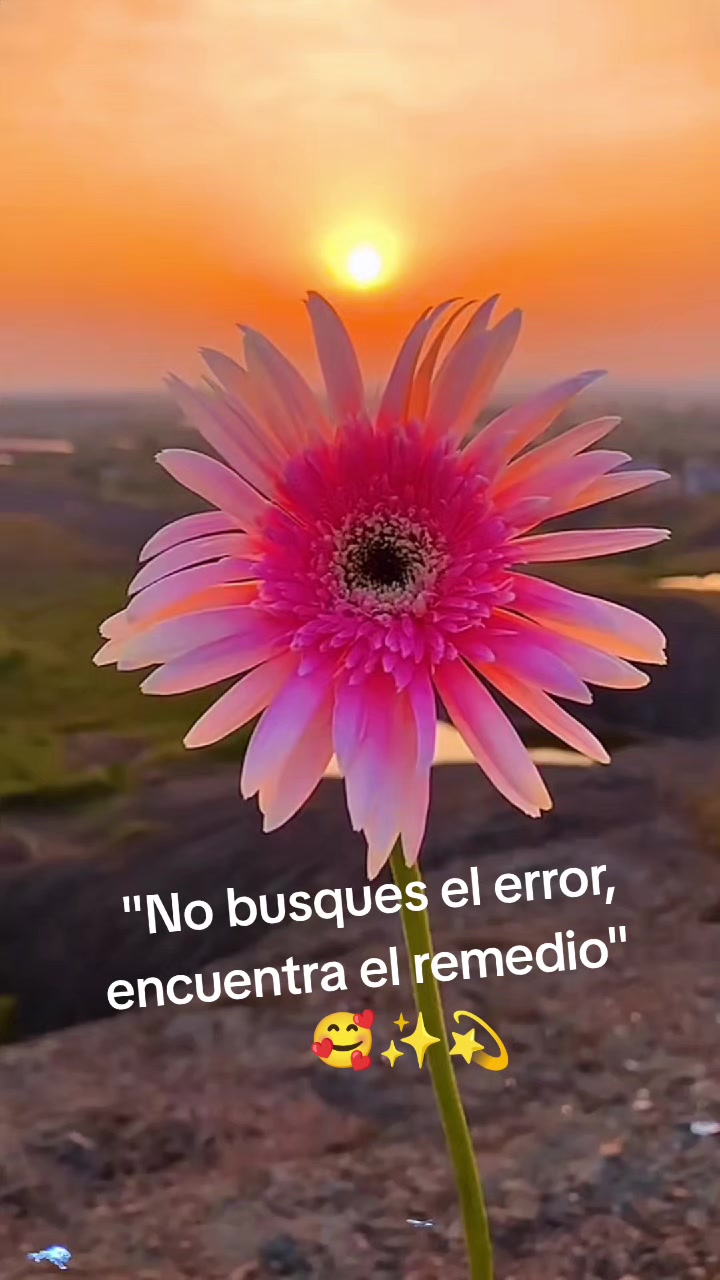 @🦂𝓟𝓪𝓸𝓵𝓲𝓽𝓪🎀🍒
