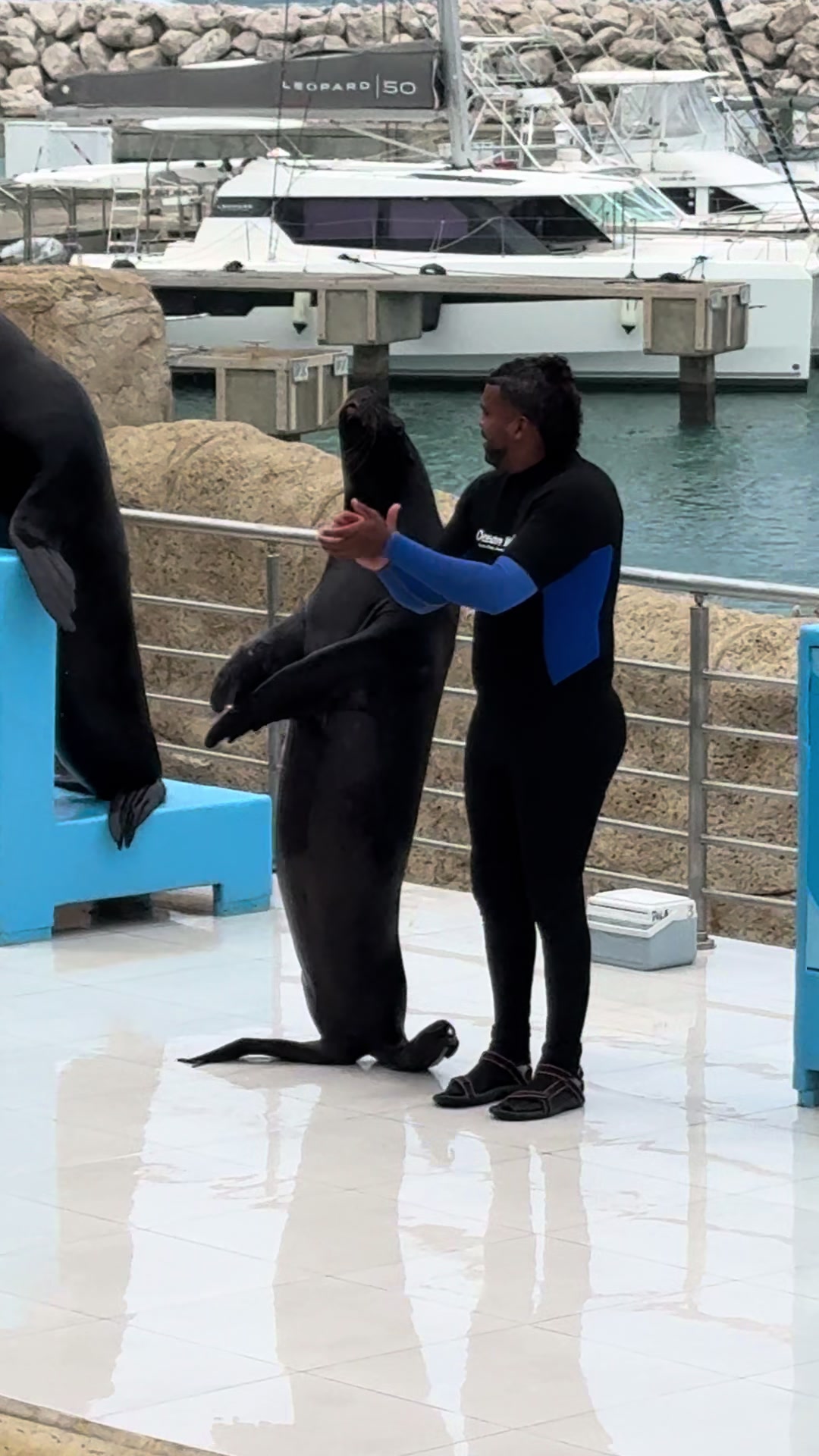 @oceanworldRD