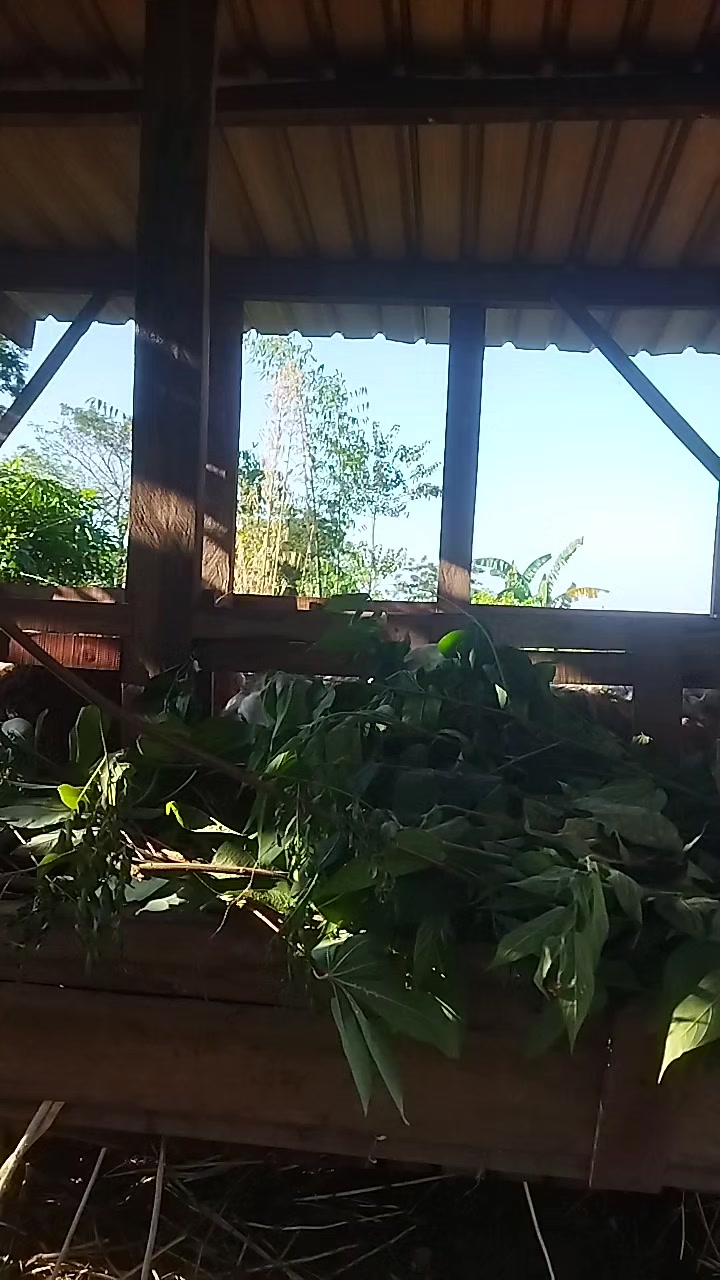 @I'm A Farmer