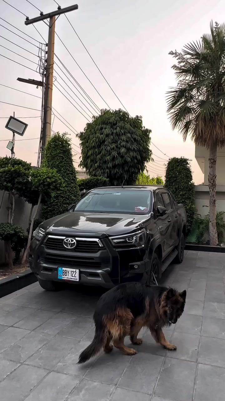 @💸سید حیدر بخاری 💸