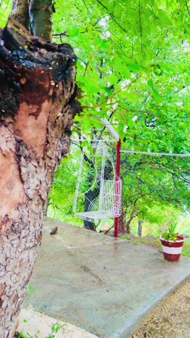 @Peak Tours