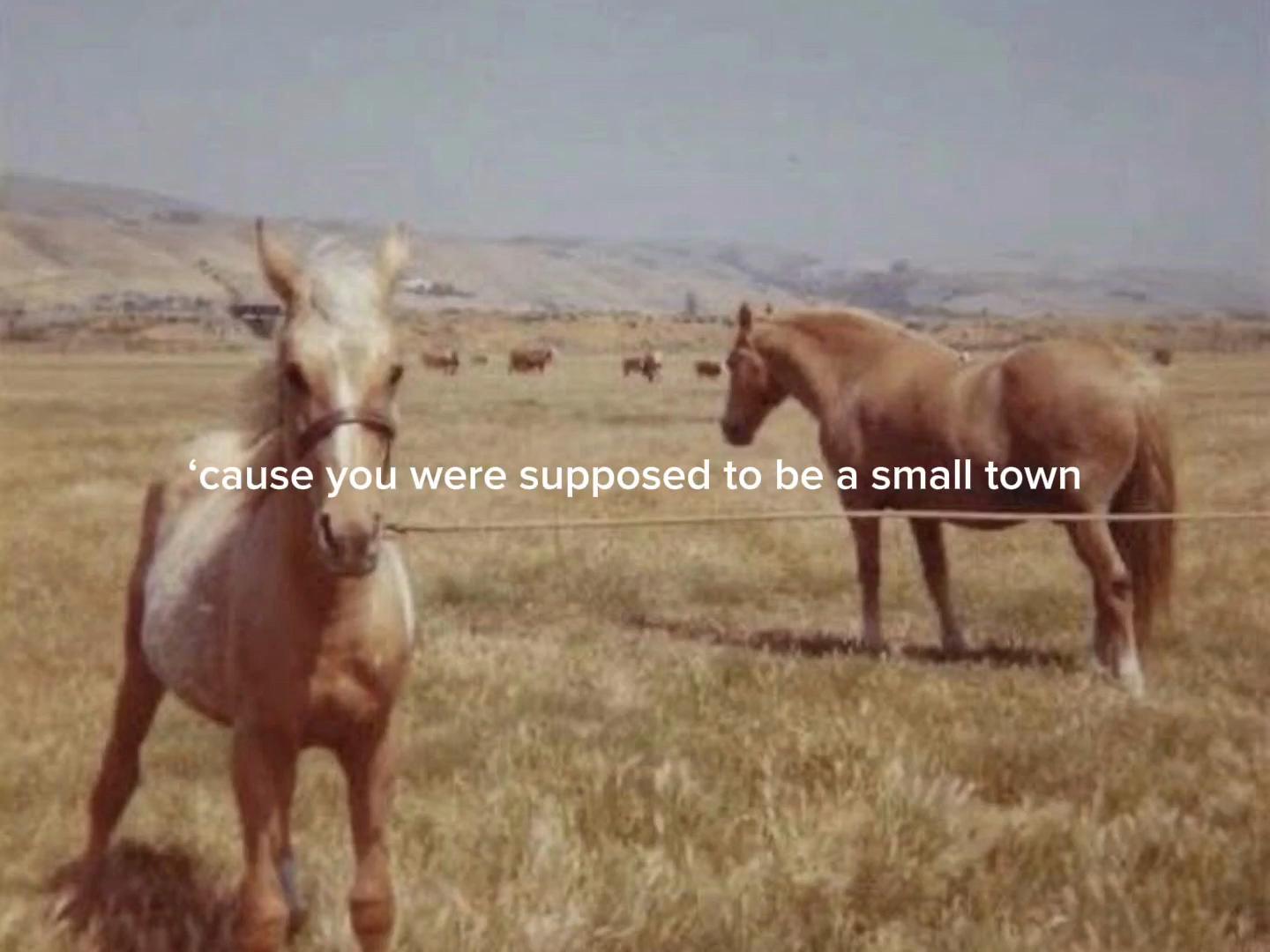 @angel