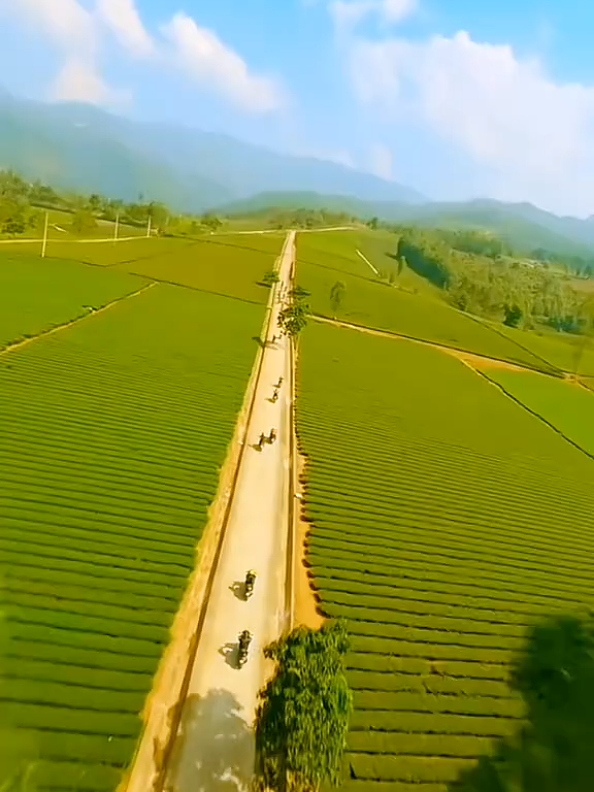 @Huỳnh Văn Được