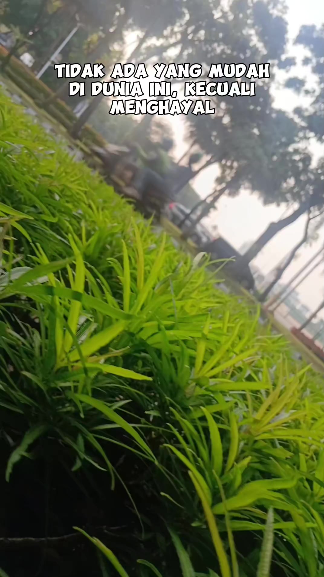 @tukang ngopi