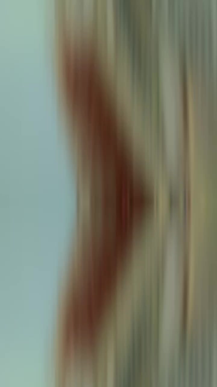 @꧁དℭ℟&Aring;ℤ&yen;༒₭&Iuml;ḼḼ℥℟ཌ꧂◤