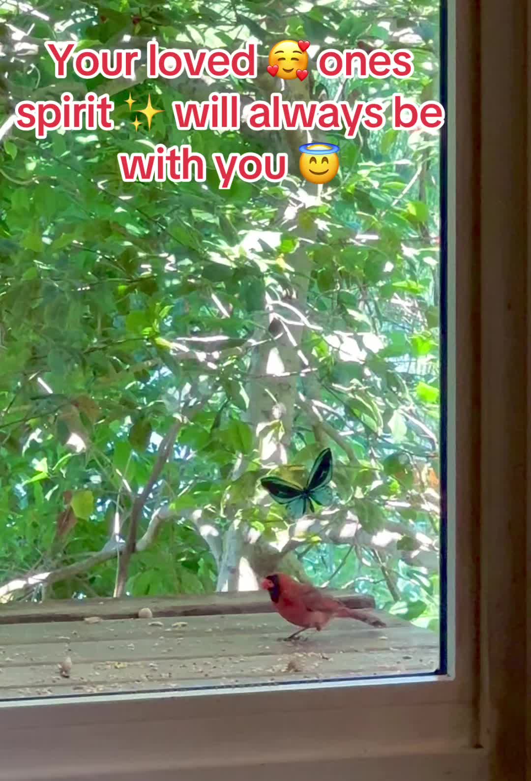 @E🌹