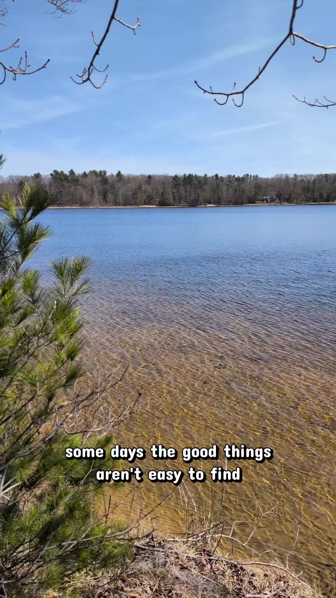 @JessWetsHerPlants🌿😶🌫️✨