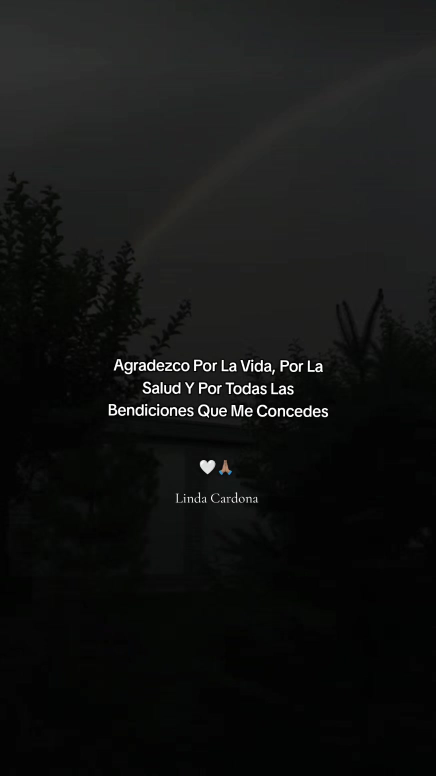 @Linda Cardona 🪼🪐