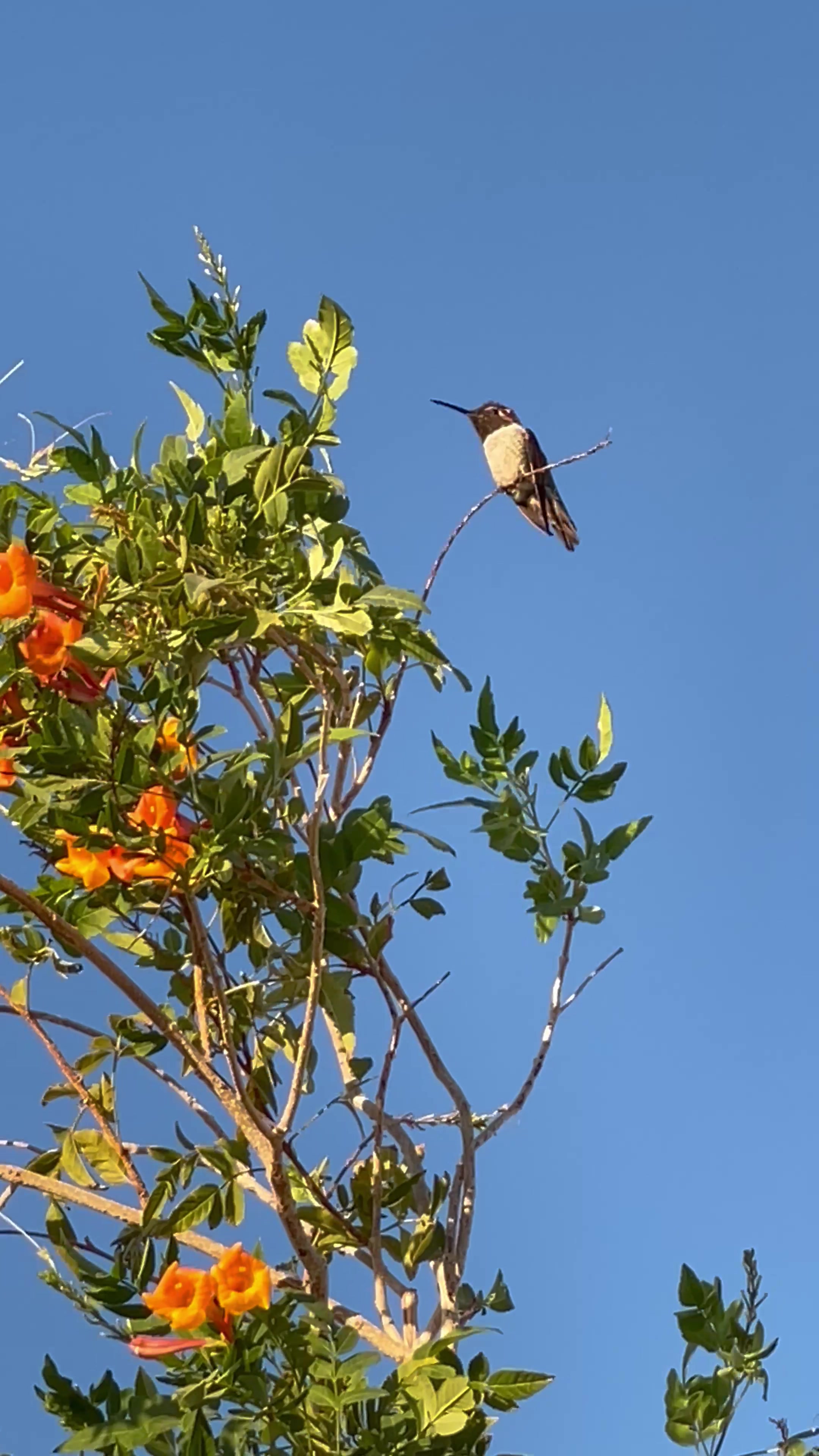 @Nature☘️🍀🍃🍁🌿