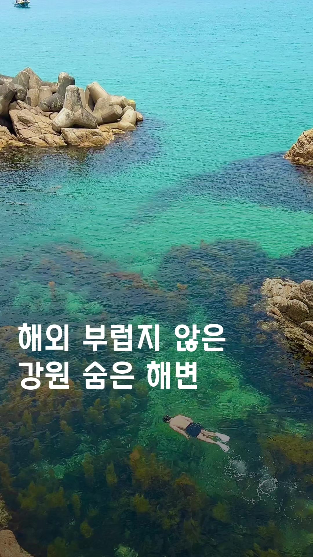 @여행 떠나는 눌루 Trip nulu