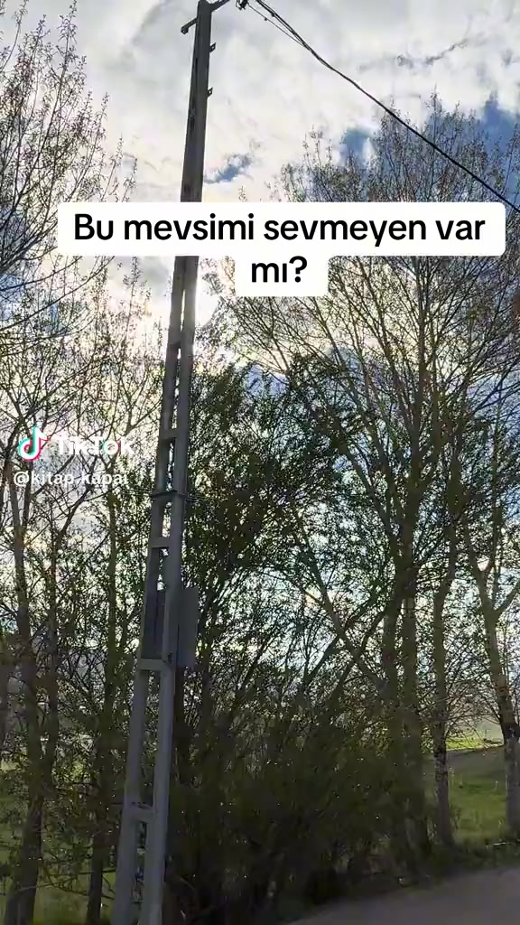 @Senol Ceylan740